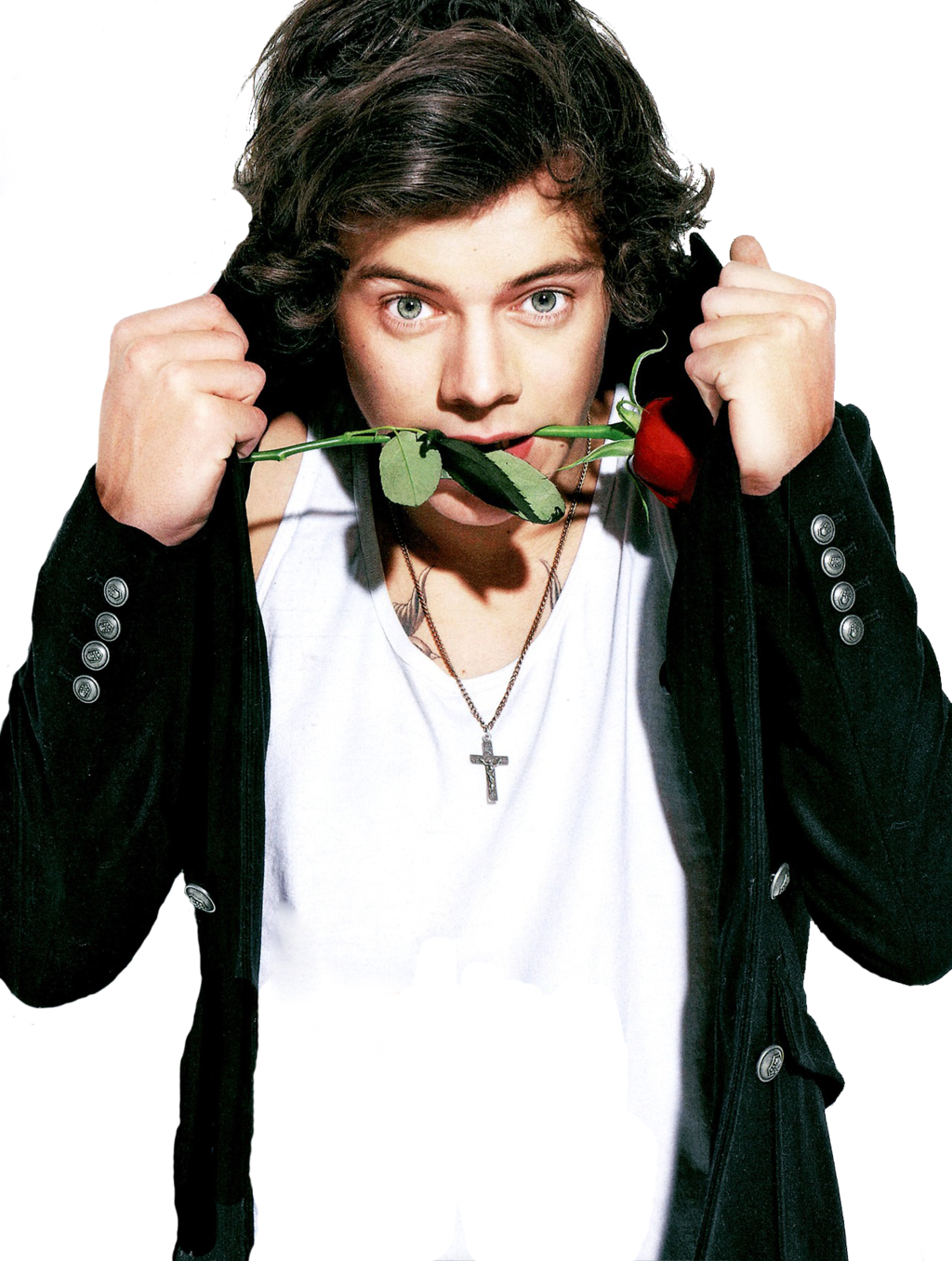 Harry Styles Png By Griz2012 Harry Styles Png By Griz2012 - Harry Styles, Transparent background PNG HD thumbnail