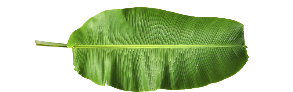 About Lumi House - Hawaii, Transparent background PNG HD thumbnail