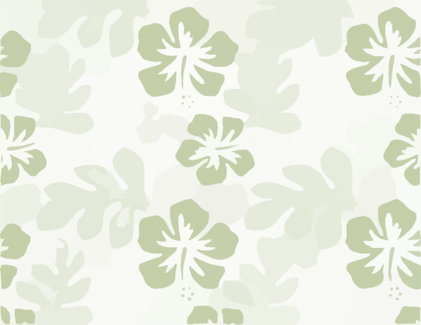 Download This Image As: - Hawaii, Transparent background PNG HD thumbnail