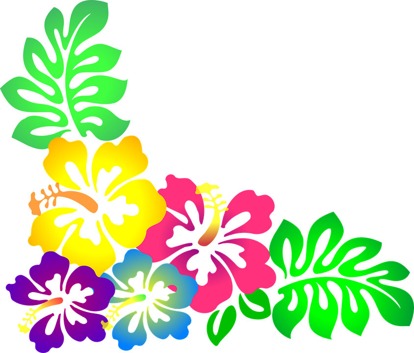 Flower, Hawaii, Hibiscus, Luau, Colorful - Hawaiian Luau, Transparent background PNG HD thumbnail