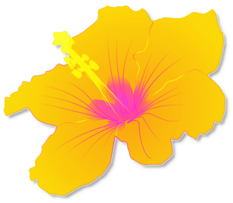 Photos Of Hawaiian Luau Clip Art Free Flower - Hawaiian Luau, Transparent background PNG HD thumbnail