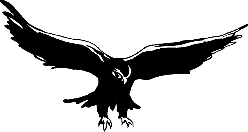 Free Hawk Clipart The Cliparts - Hawk Black And White, Transparent background PNG HD thumbnail