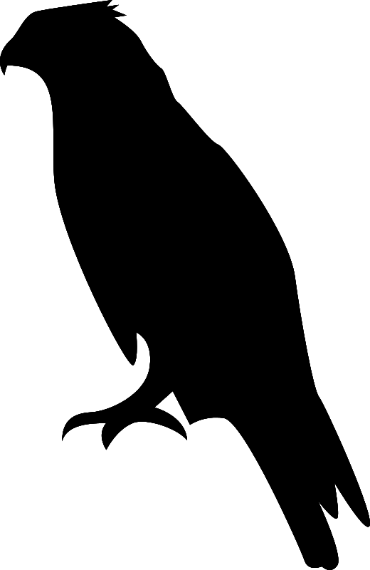 Hawk Clip Art Download - Hawk Black And White, Transparent background PNG HD thumbnail