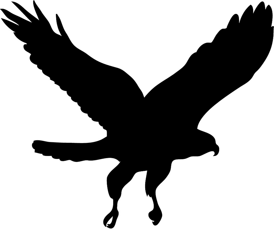 Hawk Mascot Clipart - Hawk Black And White, Transparent background PNG HD thumbnail