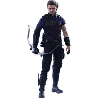 Hawkeye PNG Picture
