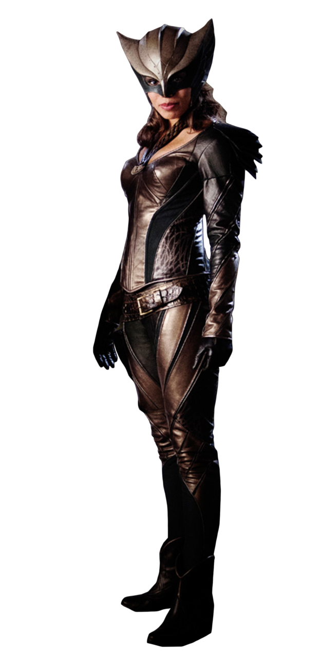 Filename: Hawkgirl__Cw_Legends__By_Dcmediaverse D9M9Tuc.png - Hawkgirl, Transparent background PNG HD thumbnail
