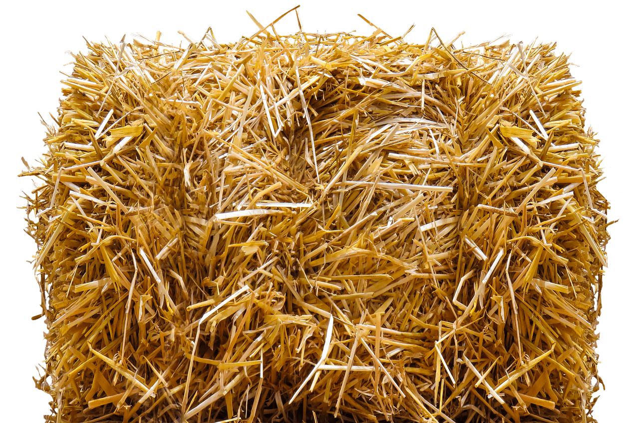 hay bales haystack straw farm