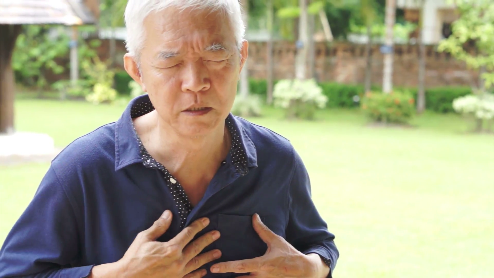 Senior Asian Man Having Heart Attack, Chest Pain Stock Video Footage   Videoblocks - Heart Attack, Transparent background PNG HD thumbnail