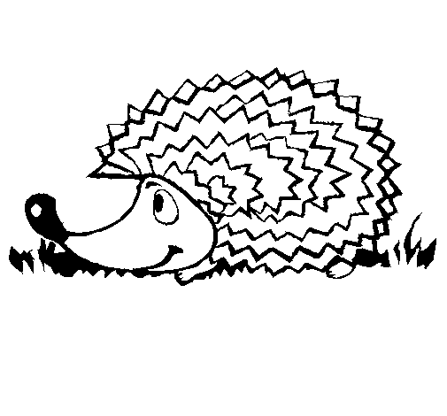 Hedgehog Png Black And White Hdpng.com 505 - Hedgehog Black And White, Transparent background PNG HD thumbnail