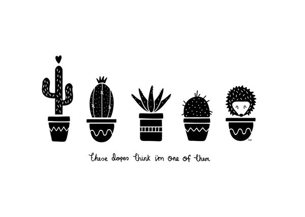 Cactus And Hedgehog - Hedgehog Black And White, Transparent background PNG HD thumbnail