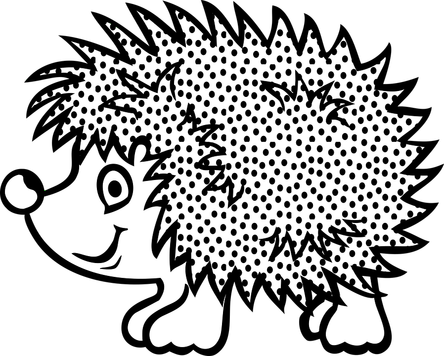 Hedgehog, Animal, Cartoon, Spikes - Hedgehog Black And White, Transparent background PNG HD thumbnail