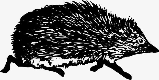 Vector Black And White Hedgehog Free Png And Vector - Hedgehog Black And White, Transparent background PNG HD thumbnail