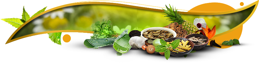 Herbs PNG Transparent Image