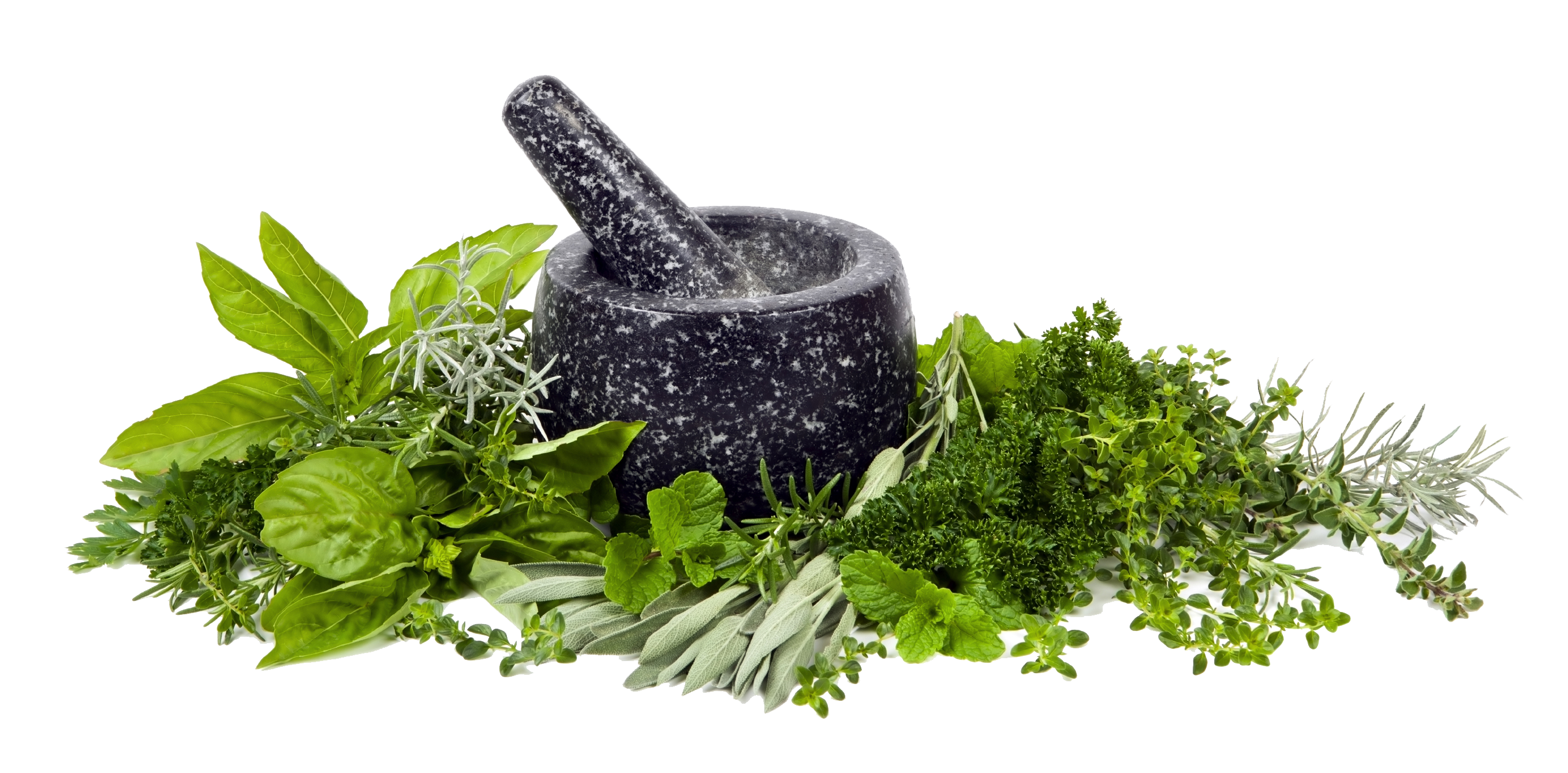 Herbs Png Image - Herbs, Transparent background PNG HD thumbnail