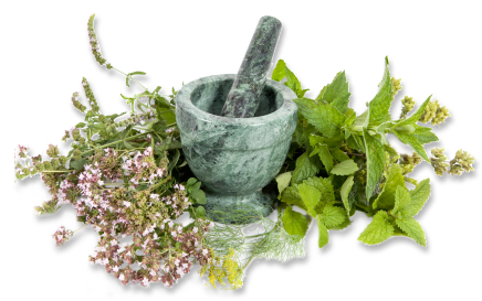 User Friendly Interface - Herbs, Transparent background PNG HD thumbnail