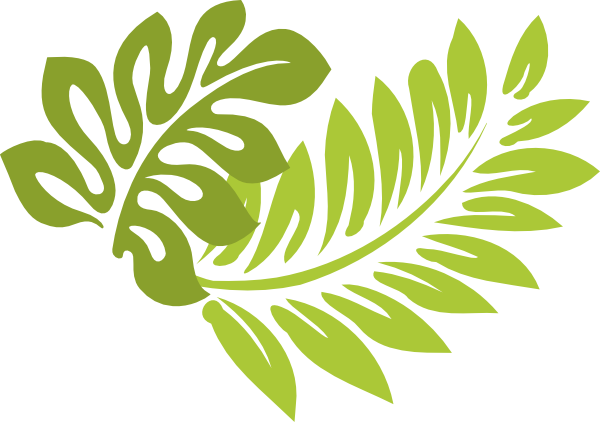 Download This Image As: - Hibiscus Leaf, Transparent background PNG HD thumbnail