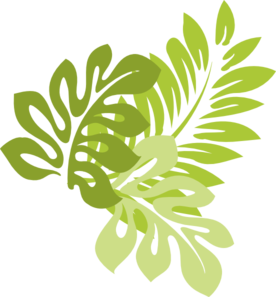 Pin Foliage Clipart Hibiscus Leaf #2 - Hibiscus Leaf, Transparent background PNG HD thumbnail