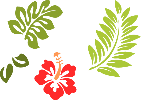 Png: Small · Medium · Large - Hibiscus Leaf, Transparent background PNG HD thumbnail
