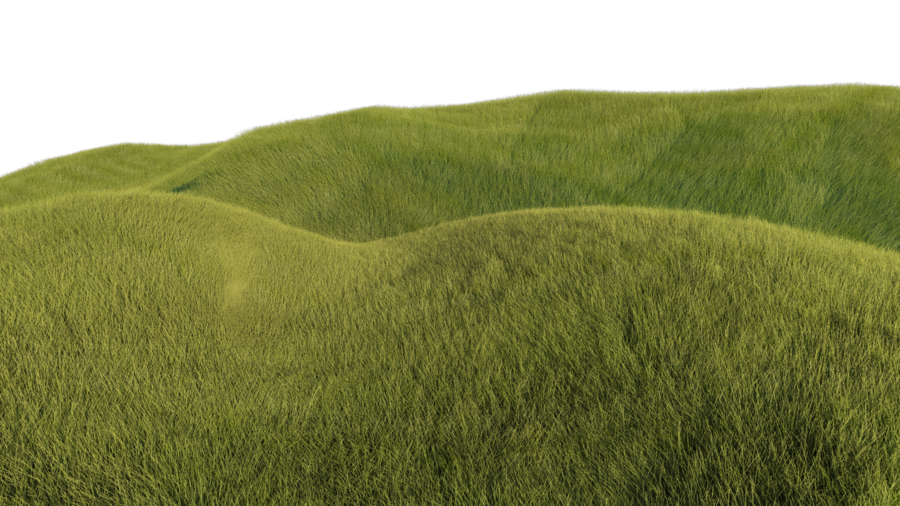 Green rolling hill grass fiel