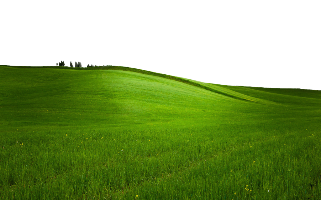 Green Grass Png   Use Anywhere (Transparent) By Theartist100 Hdpng.com  - Hill Background, Transparent background PNG HD thumbnail