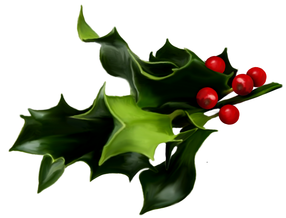 Holly And Ivy Png Hdpng.com 1121 - Holly And Ivy, Transparent background PNG HD thumbnail