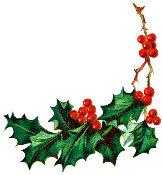 Christmas Holly Clipart - Holly And Ivy, Transparent background PNG HD thumbnail