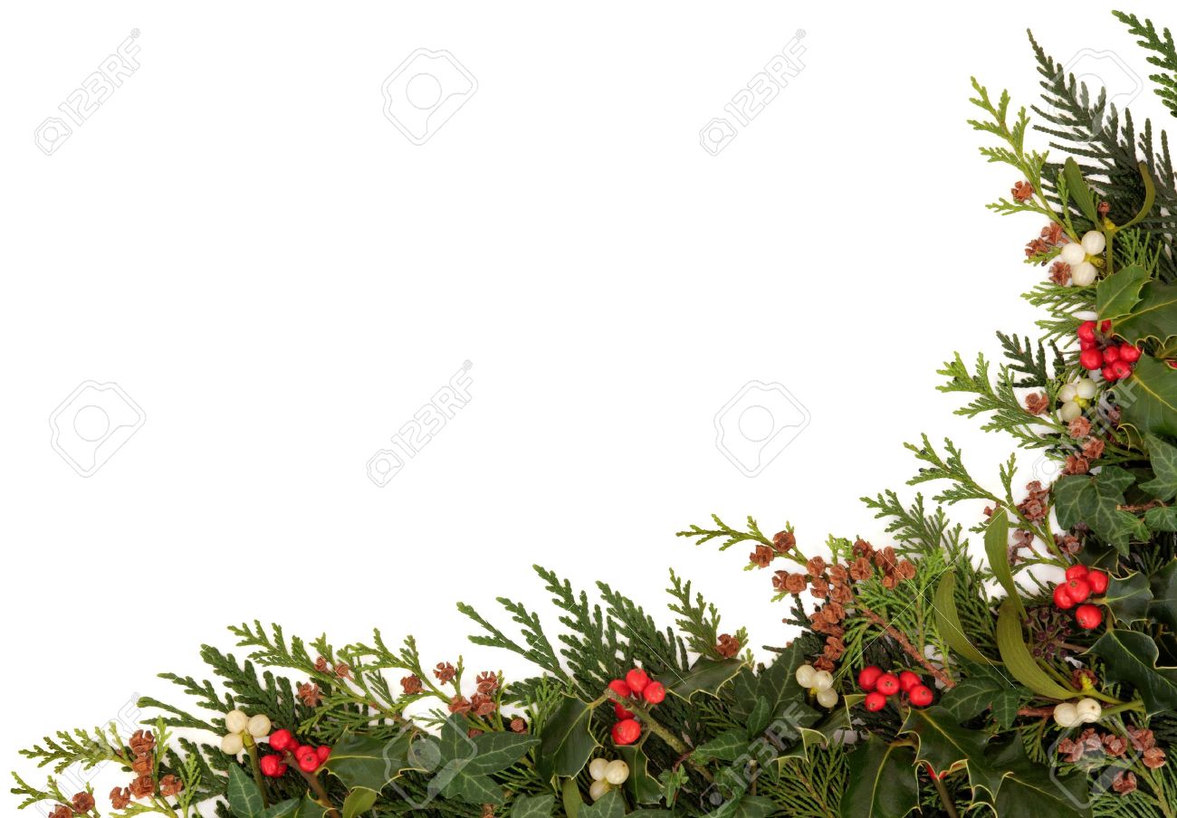 Christmas Traditional Border Of Holly, Ivy, Mistletoe And Cedar Cypress Leaf Sprigs With Pine - Holly And Ivy, Transparent background PNG HD thumbnail