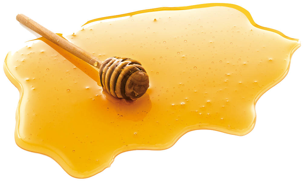 HD sunflower honey PNG materi