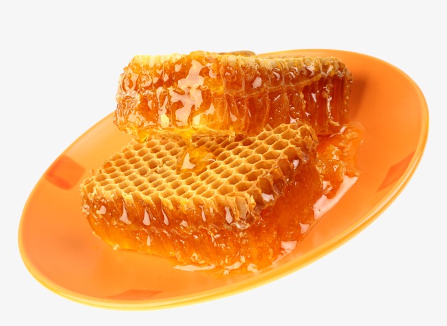 Honey clipart transparent #4