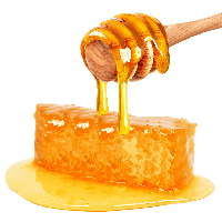 Honey File Png Image - Honey, Transparent background PNG HD thumbnail