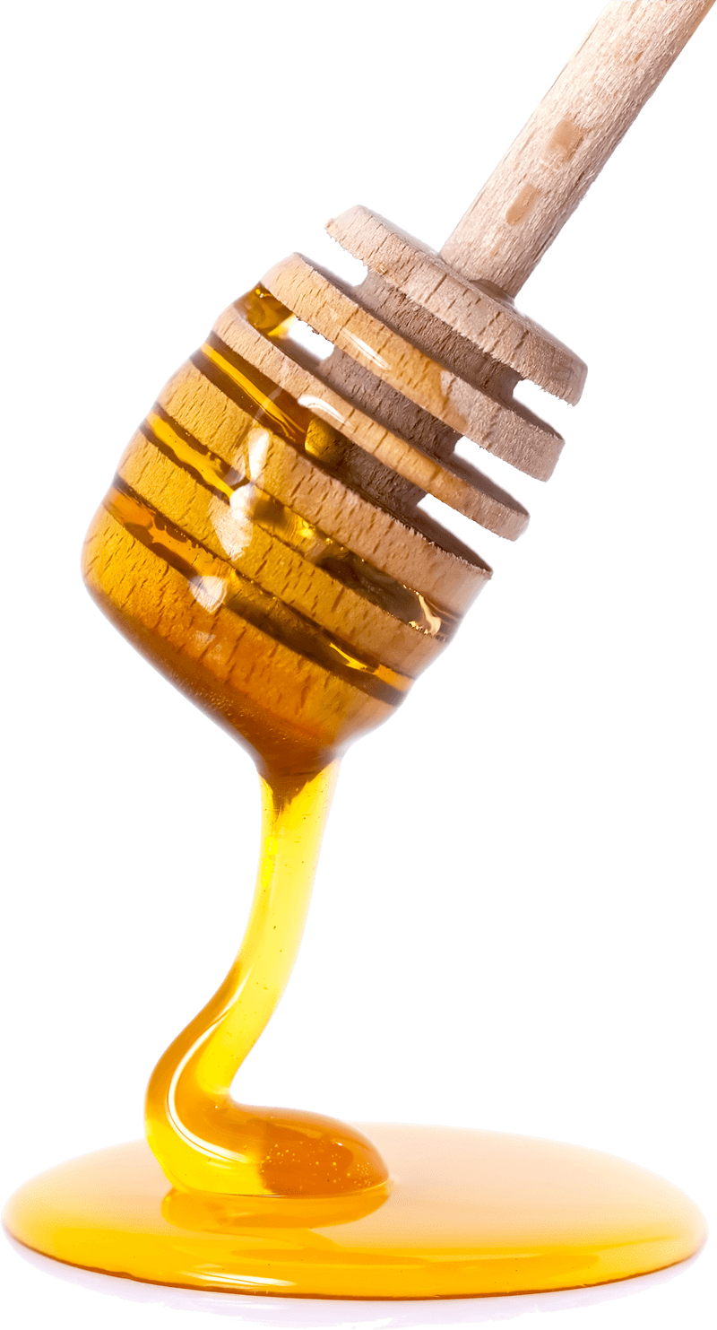 Honey Spoon - Honey, Transparent background PNG HD thumbnail