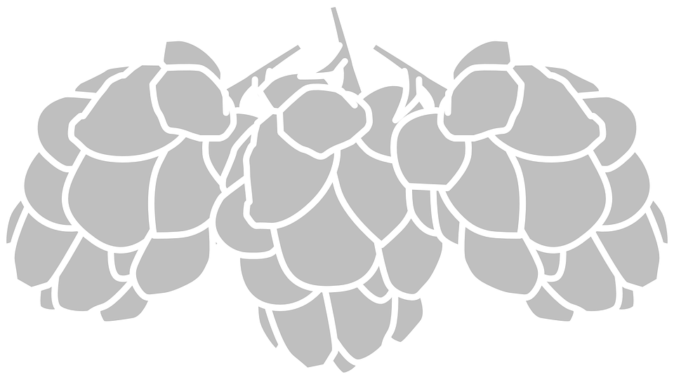 Hop Png Black And White Hdpng.com 960 - Hop Black And White, Transparent background PNG HD thumbnail
