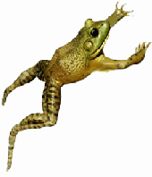 Hopping Frog Png - Mikeu0027S Web Log/comments, Transparent background PNG HD thumbnail