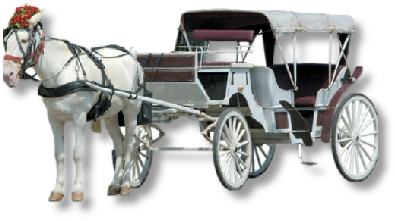 Find Chicago Horse U0026 Carriage On Facebook. - Horse And Buggy, Transparent background PNG HD thumbnail