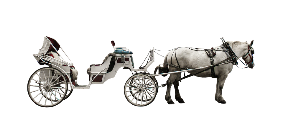 Horse Drawn Carriage, Coach, Traffic, Transport, Horse - Horse And Buggy, Transparent background PNG HD thumbnail
