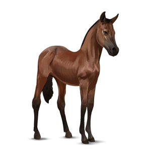 Horse And Foal Png - File:bay   Kwpn Foal.png, Transparent background PNG HD thumbnail
