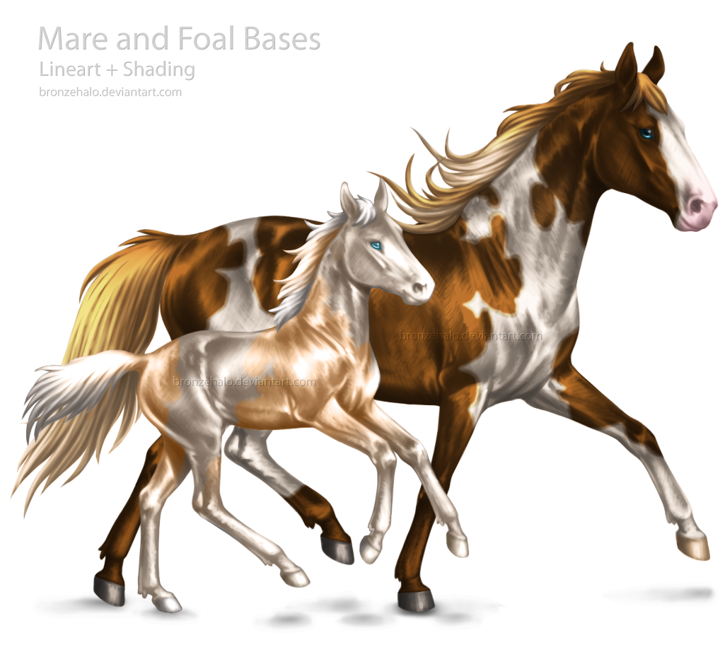 Horse And Foal Png - Mare And Foal Bases By Bronzehalo Mare And Foal Bases By Bronzehalo, Transparent background PNG HD thumbnail