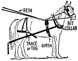 An Illustration Of A Horse Harness With Full Collar - Horse And Plow, Transparent background PNG HD thumbnail