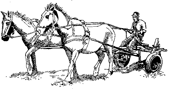 This University Continued Its Research Interest In Wheeled Toolcarriers And In 1986 Was Working To Develop A Horse Drawn Toolcarrier Suitable For Use In Hdpng.com  - Horse And Plow, Transparent background PNG HD thumbnail