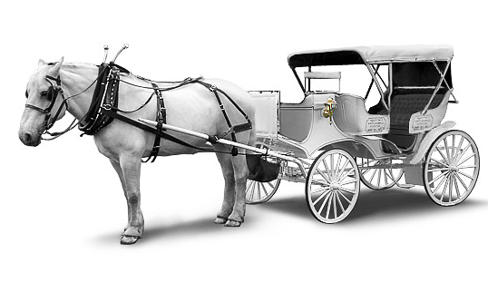 Horse Carriage Png Hd Hdpng.com 538 - Horse Carriage, Transparent background PNG HD thumbnail