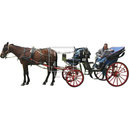A Cutout Photo Of A Man And His Bored Horse Waiting For Customers. - Horse Carriage, Transparent background PNG HD thumbnail