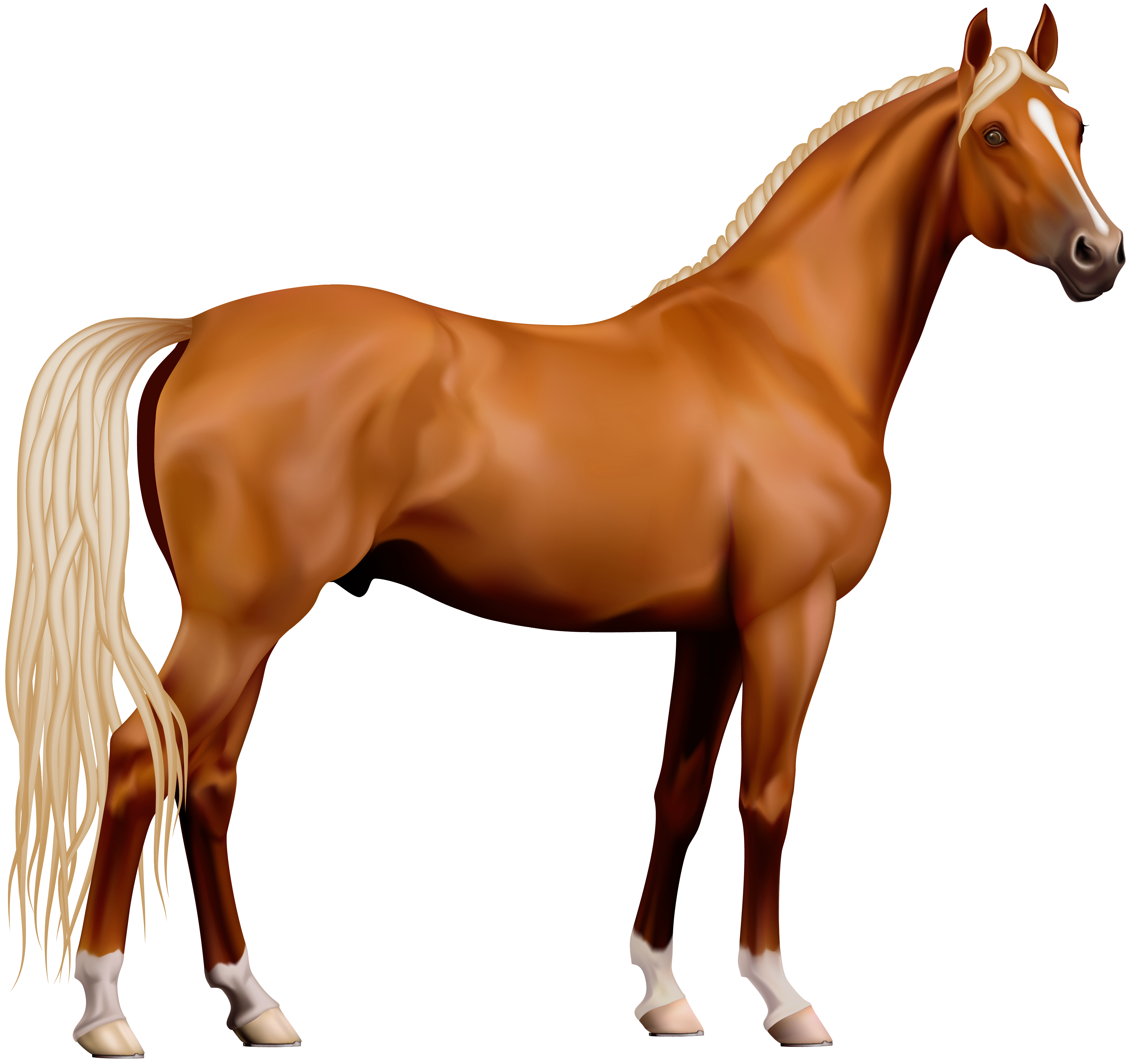 Horse Image - Horse, Transparent background PNG HD thumbnail