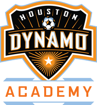 Houston Dynamo logo (two silv