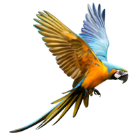 Huge Item Macaw 01.png - Macaw, Transparent background PNG HD thumbnail