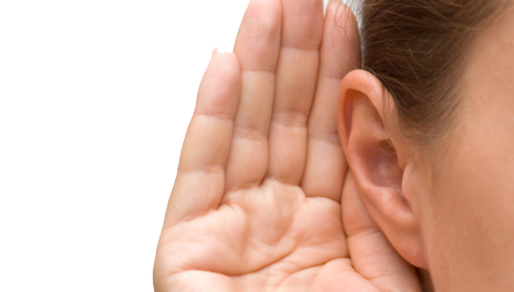 Human Ear - Ear, Transparent background PNG HD thumbnail
