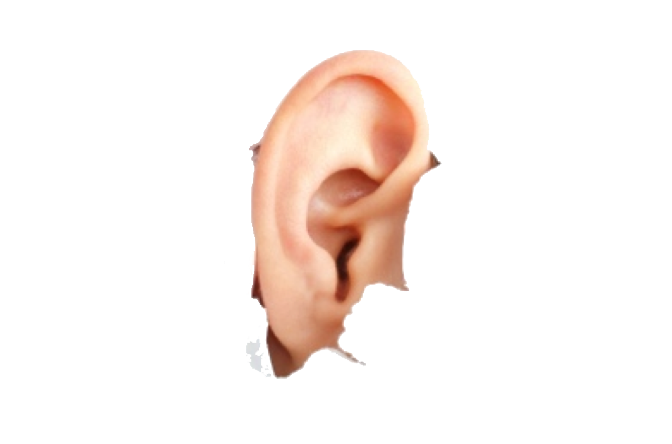 Human Ear Png Image - Ear, Transparent background PNG HD thumbnail