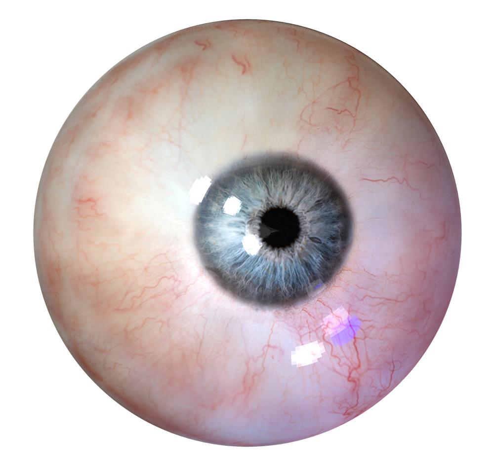 Human Eye Png Clipart - Eye, Transparent background PNG HD thumbnail