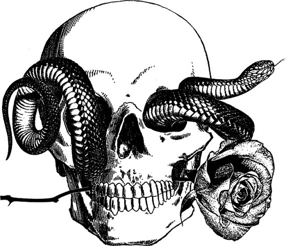 Snake Tattoo Png - Human Skull Snake Tattoo Art Rose Png By Digitalgraphicsshop, Transparent background PNG HD thumbnail