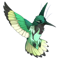 Blackwing Hummingbird.png - Hummingbird, Transparent background PNG HD thumbnail