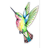 Hummingbird Tattoos Png Clipart Png Image - Hummingbird, Transparent background PNG HD thumbnail